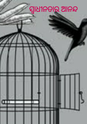 ସ୍ୱାଧୀନତାର ଆନନ୍ଦ