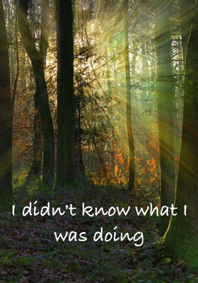 I didn't know what I was doing