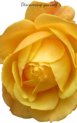 Discovering Yourself