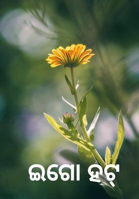 ଇଗୋ ହଟ୍