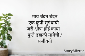 माय चंदन चंदन
एक कुपी सुगंधाची ,
जरी क्षीण होई काया
फुले डहाळी मायेची !