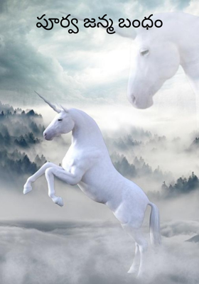 పూర్వ జన్మ బంధం