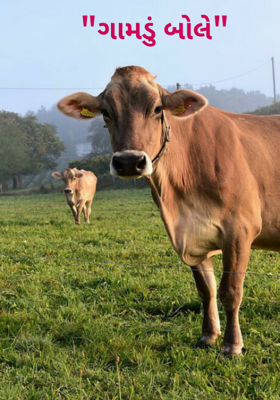 ગામડું બોલે