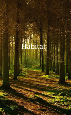 Habitat