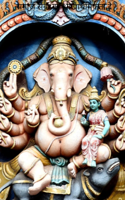 समाज सेवा को भी प्राथमिकता दे