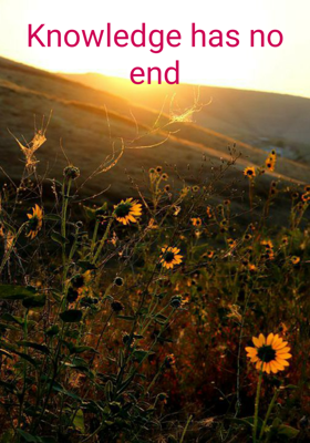 Knowledge Has No End