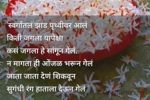स्वर्गातलं झाड पृथ्वीवरआलं 
न मागताच 
ओंजळ भरून गेलं 
किती जगला यापेक्षा
कसं जगला हे सांगून गेलं
जाता जाता देणं शिकवून
सुगंधी रंग 
हाताला देवून गेलं 

