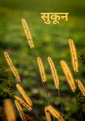 सुकून 