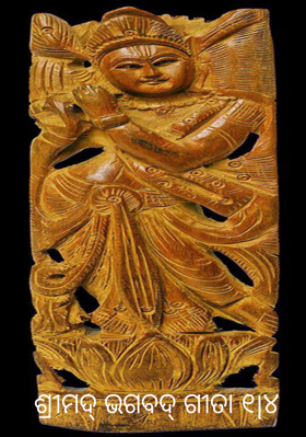 ଶ୍ରୀମଦ୍ ଭଗବଦ୍ ଗୀତା ୧|୪