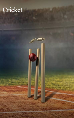 Cricket