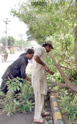 पर्यावरण