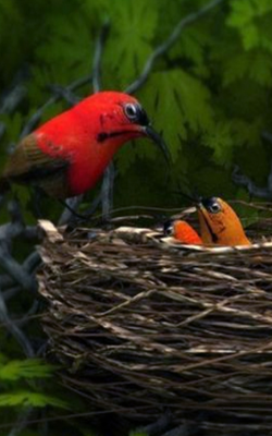 Was That Necessary ?