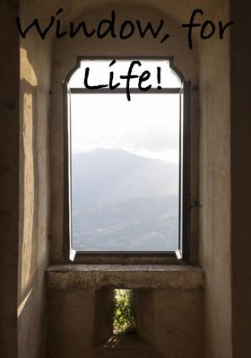 Window, for Life!