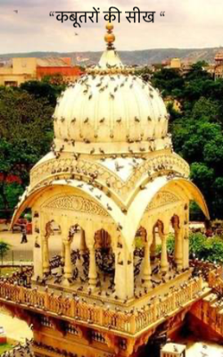  “कबूतरों की सीख “