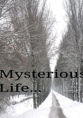 Mysterious Life...
