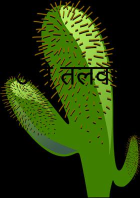 जाग उठी तलवार