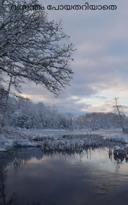 വസന്തം പോയതറിയാതെ