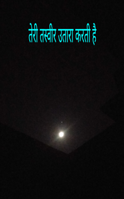 तेरी तस्वीर उतारा करती है