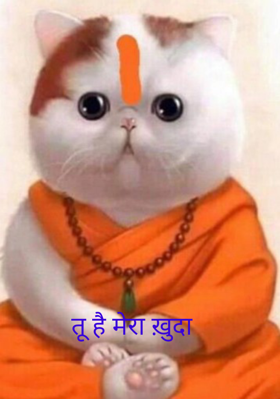 तू है मेरा ख़ुदा