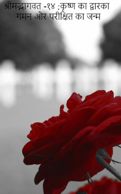 श्रीमद्भागवत -१४ ;कृष्ण का द्वारका गमन और परीक्षित का जन्म