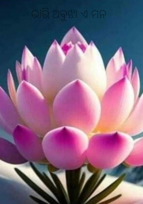 ଭାରି ଅବୁଝା ଏ ମନ