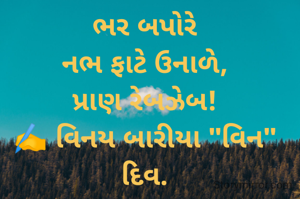 ભર બપોરે
નભ ફાટે ઉનાળે,
પ્રાણ રેબઝેબ!
✍️ વિનય બારીયા "વિન"
દિવ.