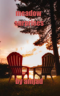 Meadow Surprises