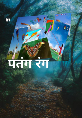 पतंग रंग