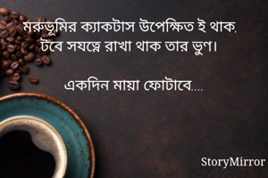 মরুভূমির...