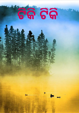 ଟିକି ଟିକି