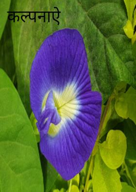 कल्पनाएं