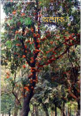 অশোক