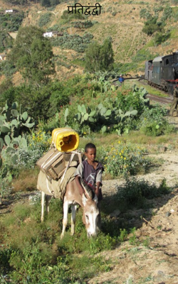 प्रतिद्वंद्वी