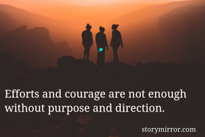 Efforts and courage are not enough without purpose and direction. 
