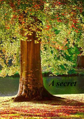 A Secret