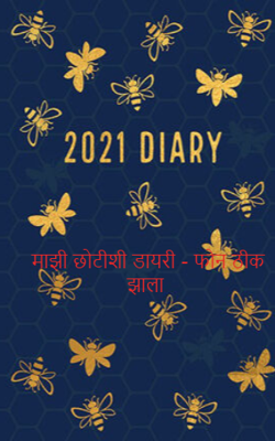 माझी छोटीशी डायरी - फोन ठीक झाला