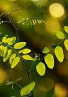 અકળલીલા