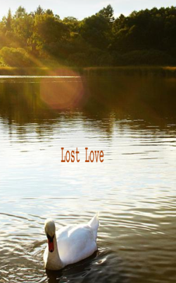 Lost Love