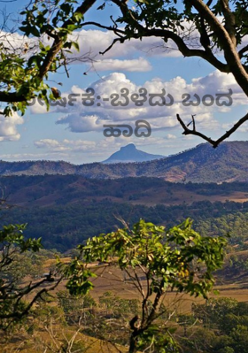 ಬೆಳೆದು ಬಂದ ಹಾದಿ