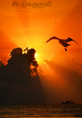 சிட்டுக்குருவி