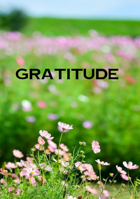 Gratitude