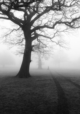 ଏହି ମୋ ଭିଟାମାଟିରେ