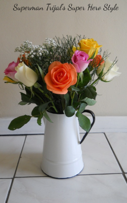 Superman Trijal's Super Hero Style