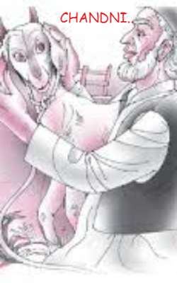 Chandni..