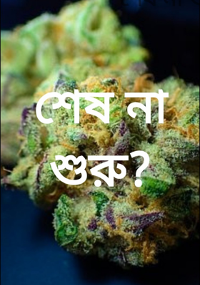 শেষ না শুরু?