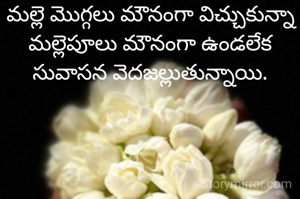 మల్లె మొగ్గలు మౌనంగా విచ్చుకున్నా మల్లెపూలు మౌనంగా ఉండలేక సువాసన వెదజల్లుతున్నాయి.