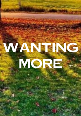 Wanting More