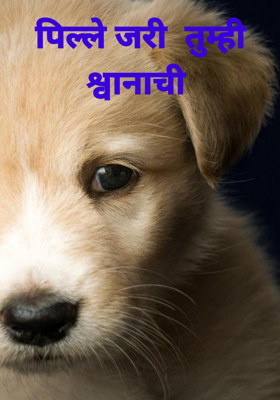 पिल्ले जरी  तुम्ही श्वानाची 