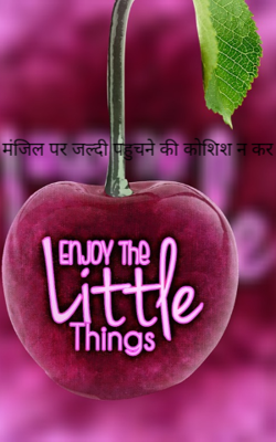 मंजिल पर जल्दी पहुचने की कोशिश न कर