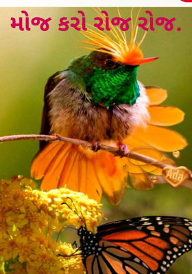 મોજ કરો રોજ રોજ